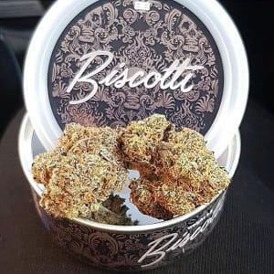 biscotti boyz strain, buy biscotti weed tins, order biscotti boyz online uk