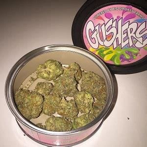 gushers, gushers weed, gushers cannabis, buy gushers marijuana tin, order gushers online