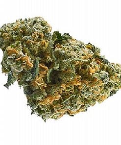 sour cheese weed, buy sour cheese strain online