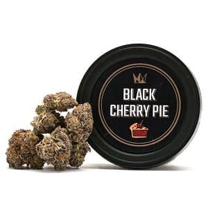 black cherry pie weed, buy black cherry pie cali tins online, order black cherry pie cannabis UK, black cherry pie marijuana for sale
