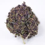black mamba strain, buy black mamba weed strain online, black mamba cannabis