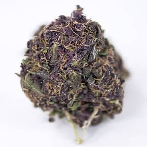 black mamba strain, buy black mamba weed strain online, black mamba cannabis