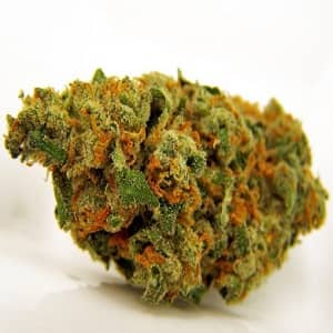 Jack herer strain, buy jack herer weed online, jack herer marijuana for sale